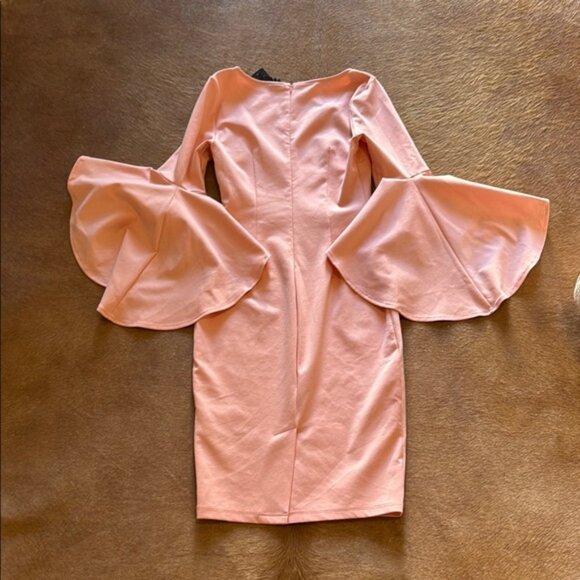 Elegant Pink Ruffle Sleeve Dress - Picture 3 of 3